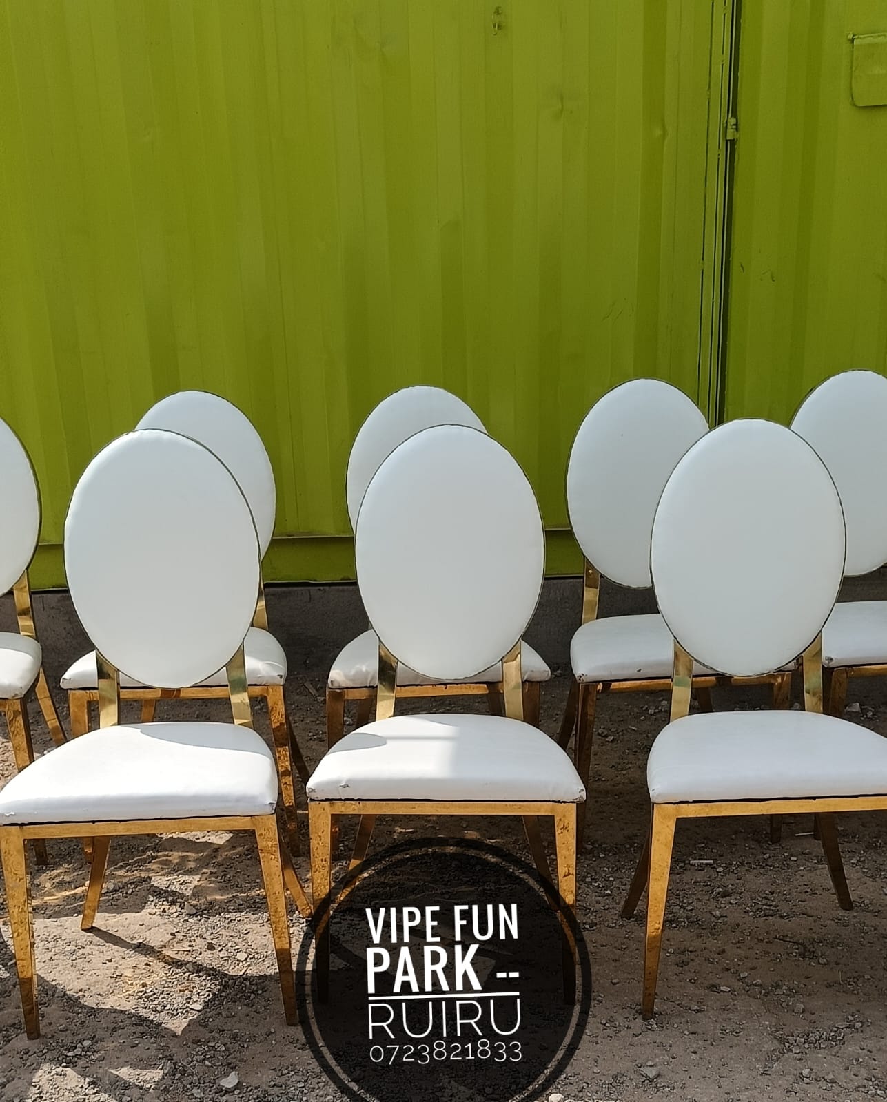 White padded oval-back chairs with gold metal frames lined up against a green container