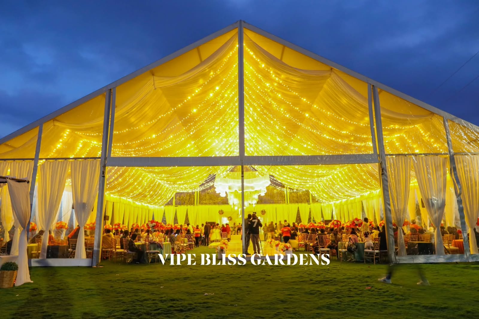 Illuminated marquee at Vipe Bliss Gardens with golden fairy lights, white draping and guests at a reception